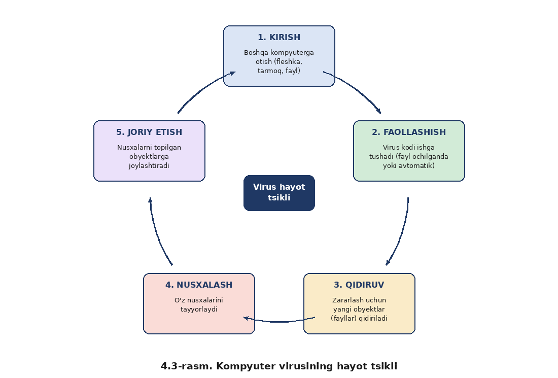 Kompyuter viruslari va viruslardan himoya qilish muammolari — rasm